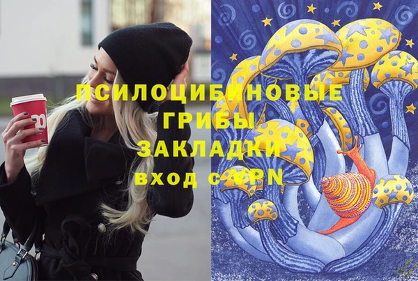 герыч Горняк