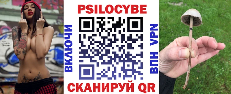Псилоцибиновые грибы Psilocybine cubensis  Купить где  Новоаннинский 