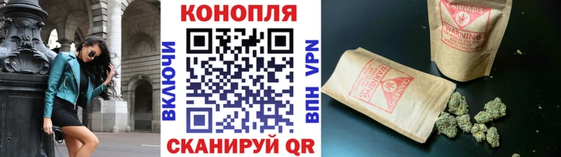 Купить  Новоаннинский  Канабис конопля 